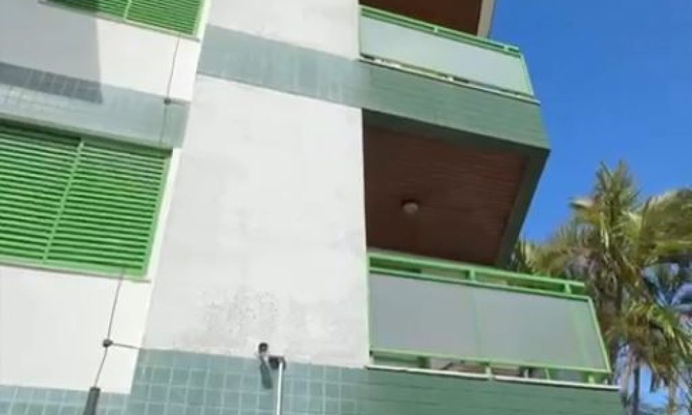 CANNA 12
