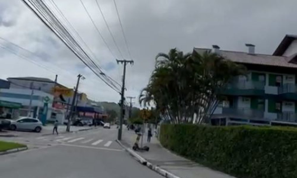 CANNA 6