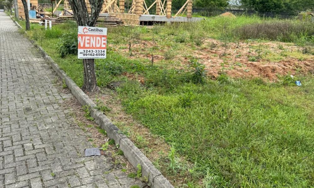 WhatsApp Image 2025-10-11 at 10.18.27