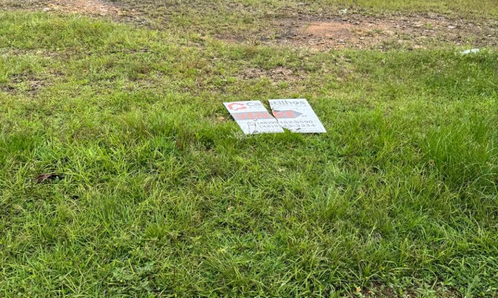 WhatsApp Image 2025-10-11 at 10.18.33