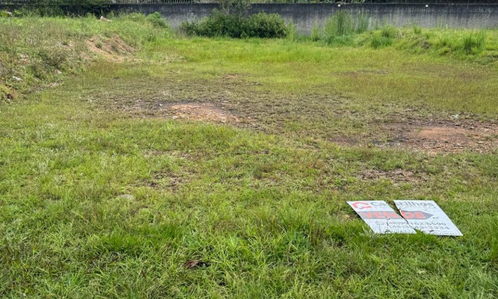 WhatsApp Image 2025-10-12 at 07.16.35 (2)